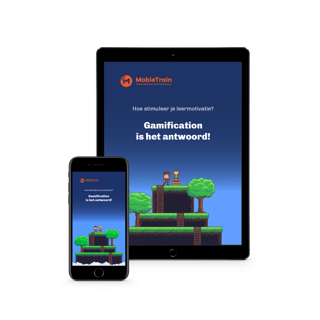 E-book Gamification NL