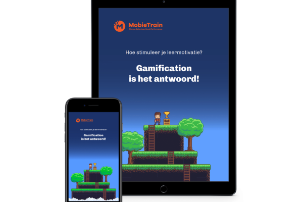 E-book Gamification NL